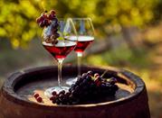 Vino rosso di Cerignola, Foggia