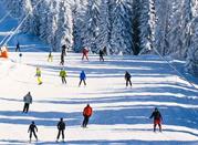 Sciatori nelle ampie piste da sci di Folgarida in una giornata di sole