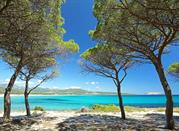 Spiaggia di sabbia bianca ed acqua turchese a Budoni
