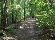 Parco dei Fontanili