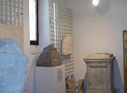 Museo Civico Archeologico e Paleontologico