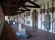 Museo di storia naturale faraggiana ferrandi 