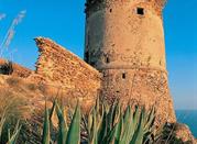 Torre Ciana