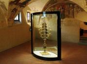 Museo Comunale