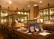 Museo per la Storia dell'Università di Pavia