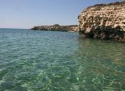 Spiaggia Pineta del Gelsomineto