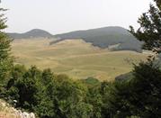 Valle dell'ombra 