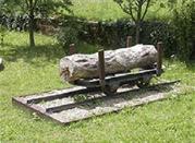 Museo Forestale 