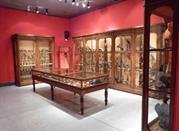 Museo Civico di Storia Naturale