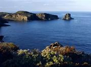 Cala del Bue Marino