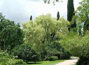Oasi di Ninfa