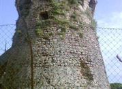 Torre di Paestum
