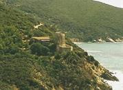 Torre delle Cannelle