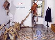 Museo della Civiltà Contadina