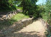 Parco Suburbano