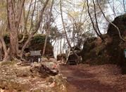 Parco Naturale Regionale di Portofino