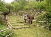 Oasi Parco Naturale Diecimare