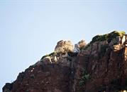 Torre Badde Jana