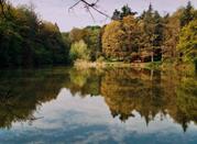 Parco naturale regionale dei Boschi di Carrega