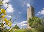 Torre di Bascio