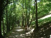 Passeggiata del Canale