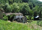 Oasi Prato Stagno di Sassoguidano