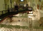 Museo 