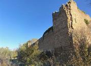 Castello di Vico