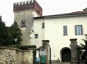 Musei Civici: Castello di Masnago