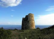 Torre Lupo