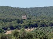 Torre Bassa