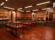 Museo Universitario di Storia Naturale e Strumentazione Scientifica