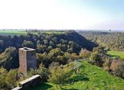 Torre di Asso