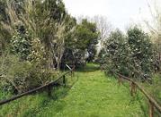 Museo Ambientale del W.W.F.
