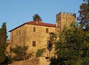 Castello Malaspina di Filattiera