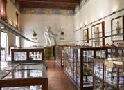 Museo di Storia Naturale