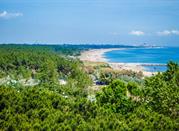 Pineta di Lido di Classe