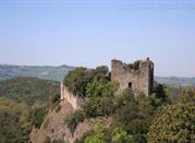 Rocca di Berignone o Torraccia