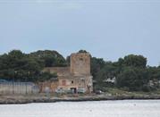 Torre Ciachea