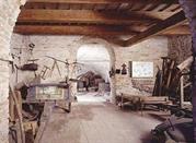 Museo 