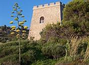 Torre Saracena di Caprioli