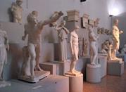 Museo Civico di Medicina