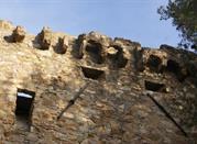 Torre Gallinara