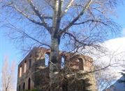Torre di Pailleron
