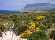 Riserva Naturale Orientata di Capo Rama