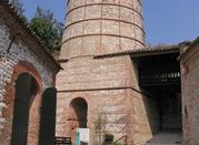 Museo Geopaleontologico 