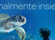 Acquario di Livorno