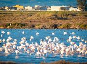 Parco delta del Pò