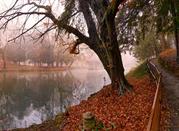 Parco di Monza
