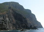 Torre Regina